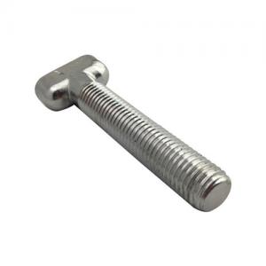304 Stainless Steel Non Standard T Bolt 304 Stainless Steel Non Standard T Bolt