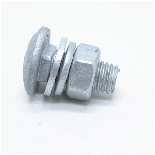 HDG Carbon Steel Carriage Bolt And Nut With Washer Assembled