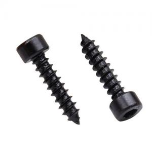 Hex Socket Head Wood Screw