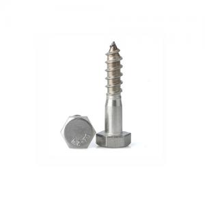 Stainless Steel DIN571 Wood Screw Stainless Steel DIN571 Wood Screw