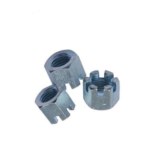 Stainless Steel DIN935 Hexagon Slotted Nut